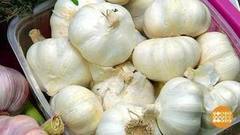 Молодой чеснок. Доброе утро. Фрагмент выпуска от 28.06.2017