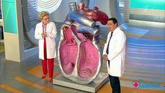 Мифы об алкоголе. Здоровье. Фрагмент выпуска от 31.05.2015