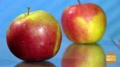 Яблоки летних сортов. Доброе утро. Фрагмент выпуска от 18.08.2017