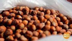 Выбираем свежий фундук. Доброе утро. Фрагмент выпуска от 08.09.2017