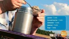 Средство от варикоза. Доброе утро. Фрагмент выпуска от 08.09.2017