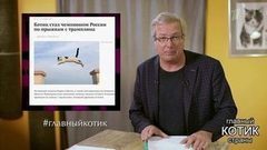 Котоновости с Алексеем Лысенковым. Главный котик страны. Фрагмент выпуска от 22.10.2017