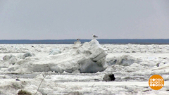 Лед тронулся! Даже на Лене. Доброе утро. Фрагмент выпуска от 21.05.2018