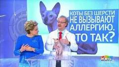 Совет за минуту: аллергия на животных. Жить здорово! Фрагмент выпуска от 25.05.2018