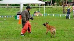 В мире. Шоу псов. Доброе утро. Фрагмент выпуска от 27.10.2015