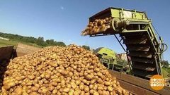Пойдем копать картошку! Доброе утро. Фрагмент выпуска от 22.08.2018
