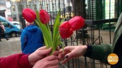 Просыпайтесь, уже весна! Доброе утро. Фрагмент выпуска от 01.03.2019