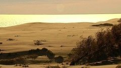 Куршская коса — дюны и Танцующий лес. Доброе утро. Фрагмент выпуска от 30.10.2015