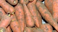 Сохраним урожай до весны. Доброе утро. Фрагмент выпуска от 02.11.2015