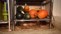 Храним продукты правильно. Доброе утро. Фрагмент выпуска от 03.11.2015