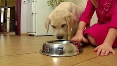 Корм для собак. Доброе утро. Фрагмент выпуска от 17.11.2015