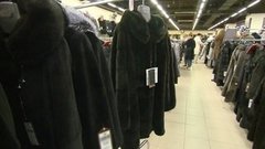 Шанхайский барс? Мексиканский тушкан? Доброе утро. Фрагмент выпуска от 10.12.2015