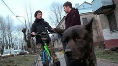 Дог-скутеринг