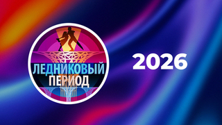 2026 год