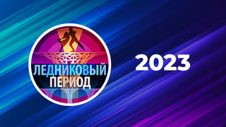 2023 год