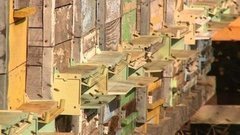 Правильный пасечник и его правильные пчёлы. Доброе утро. Фрагмент выпуска от 18.03.2016