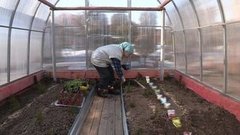 Тепличные работы. Доброе утро. Фрагмент выпуска от 31.03.2016