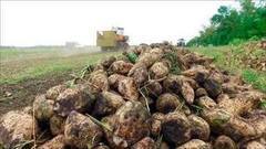 Путь свеклы. Доброе утро. Фрагмент выпуска от 02.09.2016