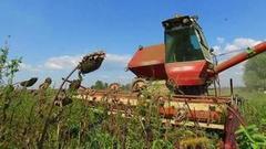 Были семечки — стало масло! Доброе утро. Фрагмент выпуска от 12.09.2016