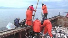 Они все-таки растут. Доброе утро. Фрагмент выпуска от 28.09.2016