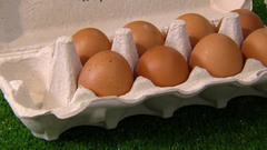 Куриные яйца. Доброе утро. Фрагмент выпуска от 14.10.2016