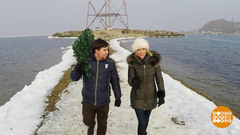 Новый год на океане. Доброе утро. Фрагмент выпуска от 30.12.2016