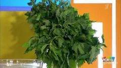 Щи из крапивы. Весенний суп. Жить здорово! Фрагмент выпуска от 03.05.2017