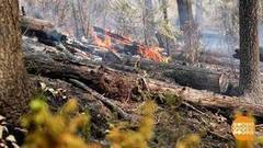 Аномальный август. Доброе утро. Фрагмент выпуска от 23.08.2017