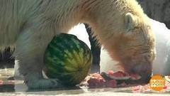 В мире. Ледяное угощение. Доброе утро. Фрагмент выпуска от 30.08.2017