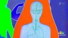 Жидкости нашего тела. Лимфа. Жить здорово! Фрагмент выпуска от 07.02.2018