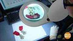 Таможня проверит все! Доброе утро. Фрагмент выпуска от 01.03.2018