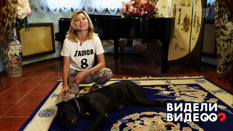 Один дома: пес певицы Вики Цыгановой. Видели видео? Фрагмент выпуска от 10.08.2018