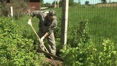 Вредители не пройдут! Доброе утро. Фрагмент выпуска от 08.06.2016