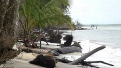 В мире. Всемирный день океанов. Доброе утро. Фрагмент выпуска от 08.06.2016