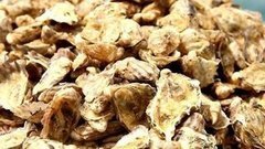 Крымские устрицы. Доброе утро. Фрагмент выпуска от 10.06.2016