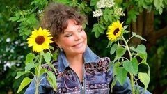 Дачные феи. Выпуск от 10.07.2016