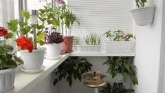 Балкон мечты. Доброе утро. Фрагмент выпуска от 26.07.2016