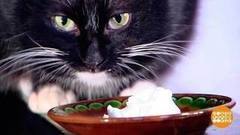 Животные-метеорологи. Доброе утро. Фрагмент выпуска от 26.01.2017