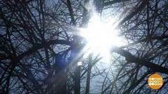 Ярилин день — весне дорогу! Доброе утро. Фрагмент выпуска от 01.03.2017