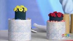 «Вечный» кактус. Жить здорово! Фрагмент выпуска от 28.03.2017