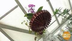 Кашпо для орхидеи. Доброе утро. Фрагмент выпуска от 31.03.2017