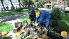 Цветочная черепаха и другие. Доброе утро. Фрагмент выпуска от 02.05.2017