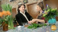 Зеленый чай вместо йода. Доброе утро. Фрагмент выпуска от 23.05.2017