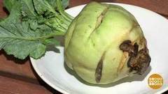 Знакомьтесь: корнеплоды! Доброе утро. Фрагмент выпуска от 10.11.2017