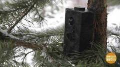 Улыбнитесь, браконьеры, вас снимают! Доброе утро. Фрагмент выпуска от 14.12.2017