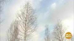 Первые выходные весны! Доброе утро. Фрагмент выпуска от 02.03.2018