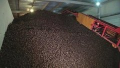 Собрать и сохранить! Доброе утро. Фрагмент выпуска от 06.10.2015