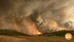 Что творится с климатом? Доброе утро. Фрагмент выпуска от 26.09.2018