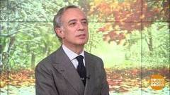 Паскуале Террачано — о неделе итальянской кухни в Москве. Доброе утро. Фрагмент выпуска от 21.11.2018