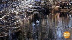 Крещенская вода. Чудо по расписанию. Доброе утро. Фрагмент выпуска от 17.01.2019